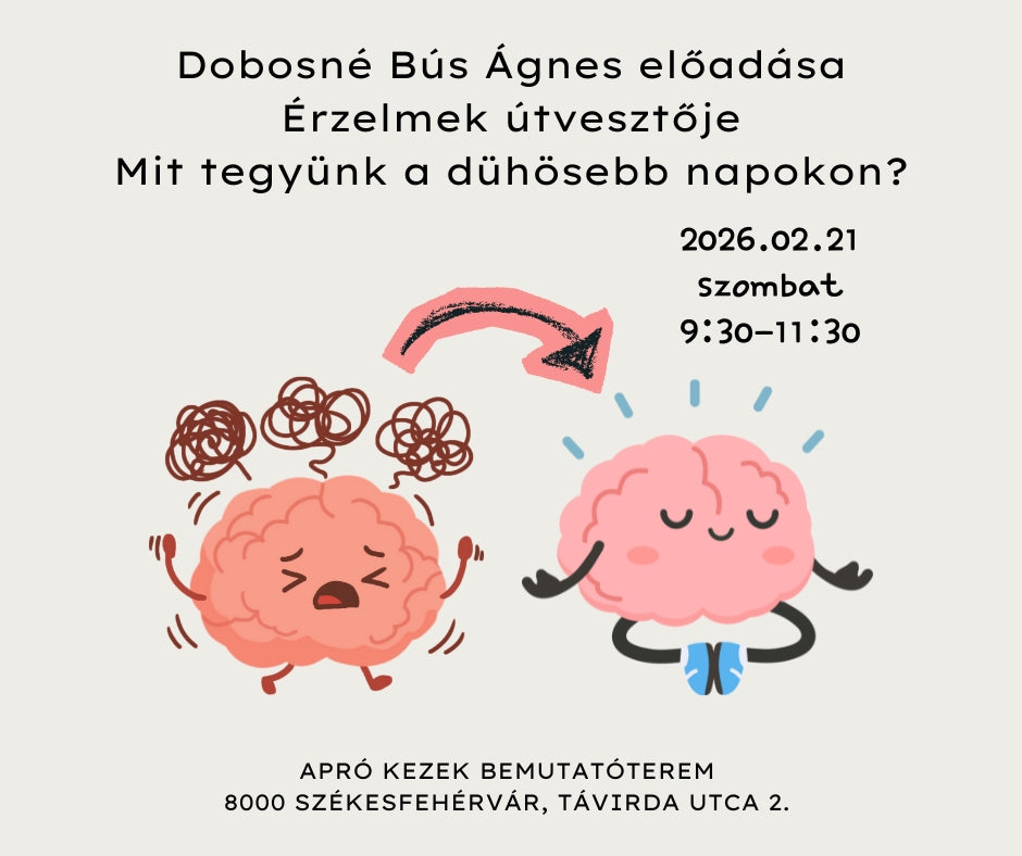 Dobosné Bús Ágnes előadás - érzelmek útvesztője